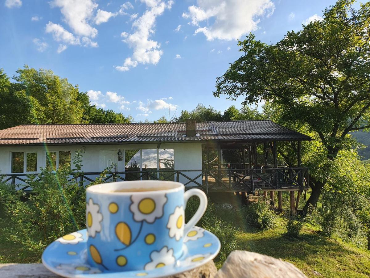 Cabana Rasarit De Soare Hotel Galesu Buitenkant foto