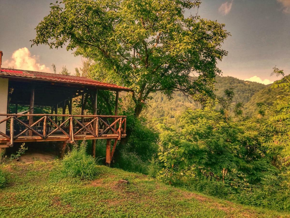 Cabana Rasarit De Soare Hotel Galesu Buitenkant foto